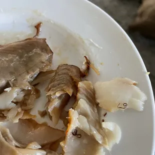 Black Cod with worms