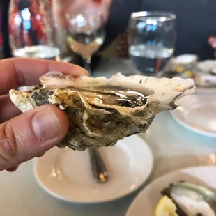 Oyster