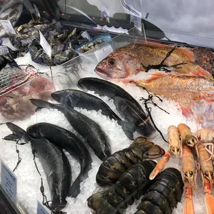 What a beautiful selection!