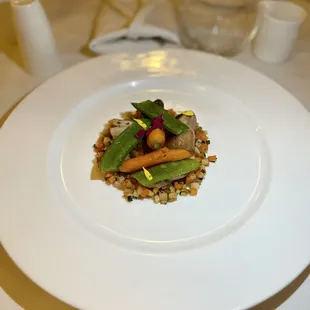 Vegan Fourth Course (wish I could give an accurate description)