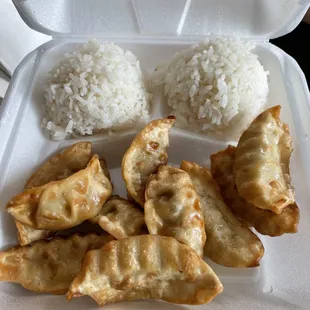 Gyoza Plate