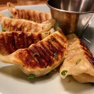 Pan fried beef gyoza