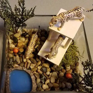 One of the diorama's in the silent auction