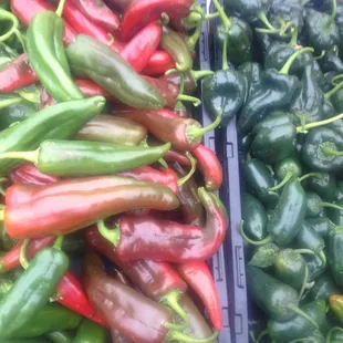 Sunshine on a cloudy day