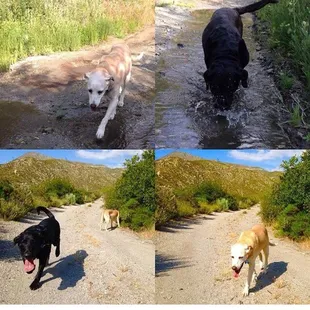 On a walk