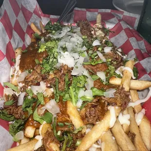 Birria Loaded Fries