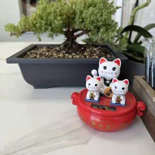 cuteeee