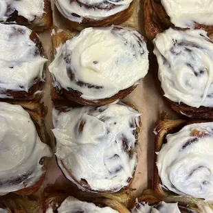 Cinnamon rolls fresh baked &amp; out of the oven by 8:00am every morning