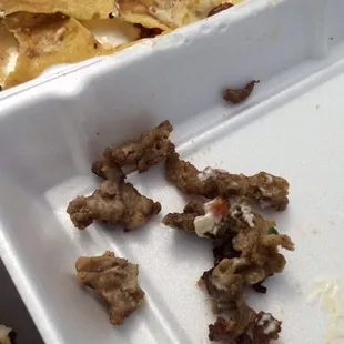 Carne asada nachos... Lots of fat.