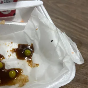 I have a baby roach in my freaking food it was alive ! Sitting under my last wing and it was black .