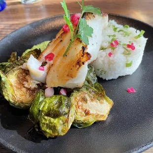 miso butter sea bass. It gives the ahi tuna a run for it's money but it is more expensive (if that matters to you). sprouts make this dish.