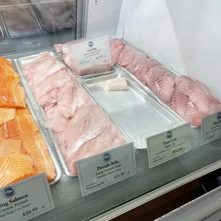 a variety of fish in a display case
