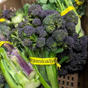 Purple vegetable season!