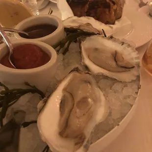 Oysters