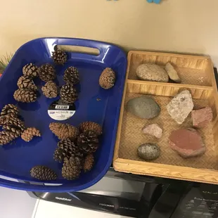Sorting trays to go along with the theme. Natural materials are used as often as possible.