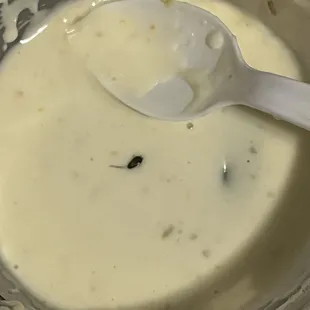 Roach in the Queso Fundido