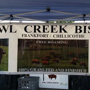 Bison ground or different steak cuts