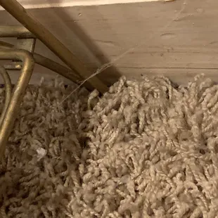 Spider webs on nightstand and drapes.