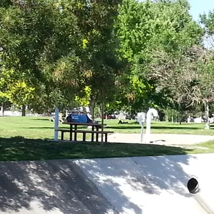 Random adults sleeping in the park is odd.