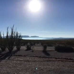 Morning fog over Elephant Butte Lake