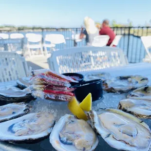 oysters, oysters and mussels, food, mussels, shellfish