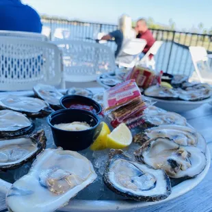 mussels, food, oysters and mussels, shellfish, oysters