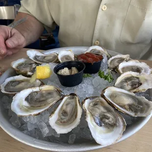 Oysters on the Half Shell