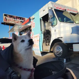 Momo enjoying Monty's