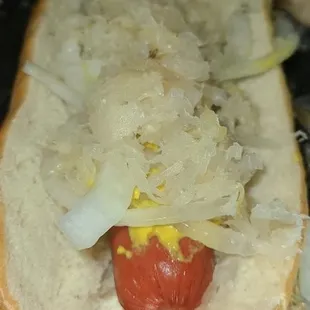 Hot Dog