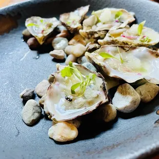 Oysters