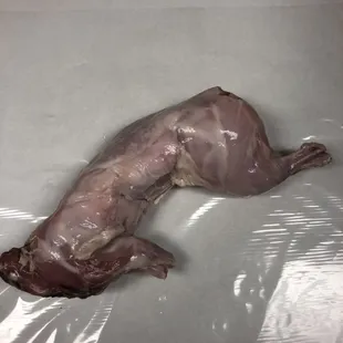 Whole Fresh Rabbit