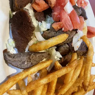 Gyro Sandwich with Fries