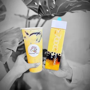 Matcha Brulee Milk Tea &amp; Mango Pomelo Sago