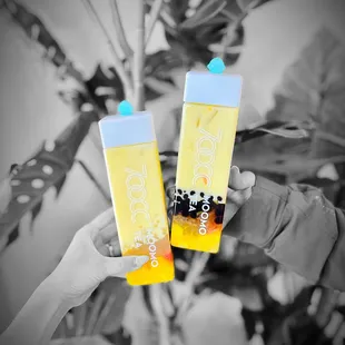 Mango Pomelo Sago x2