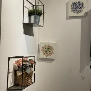  three hanging baskets with flowers