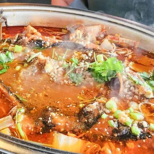 ramen and noodles, noodle dish, food, ramen, noodles, noodle soup