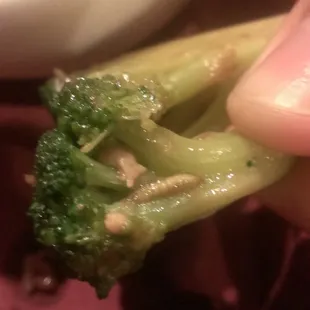 Worm cooked into the vegetables