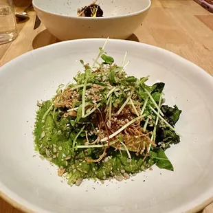 Toasted Rice Noodles