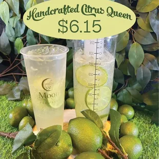 BRAND NEW HANDCRAFT CITRUS LEMON DRINK