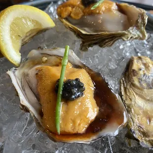 Oysters with uni and caviar