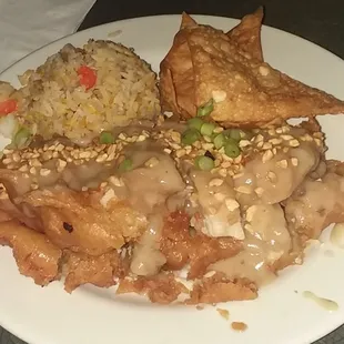 Manchurian Chicken Combo With Shrimp Fried Rice And Fried Wontons.  ($7.95).