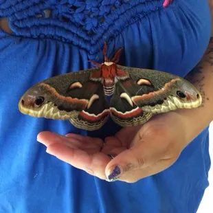 Big sky-found this guy on the deck.