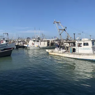 Patio view of the boats docking.