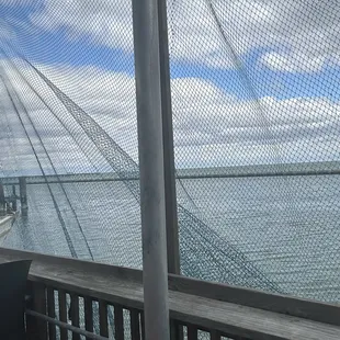 The view!
