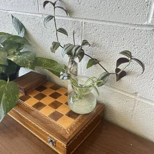 sushi and sashimi, interior