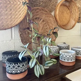 ramen and noodles, interior