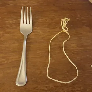 The piece of twine I found in my food (next to my fork to show size).