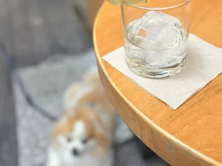 Cold Drinks Bar