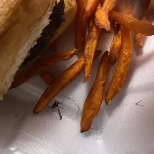 sweet potato fries, mosquito hawk