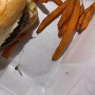 sweet potato fries, mosquito hawk